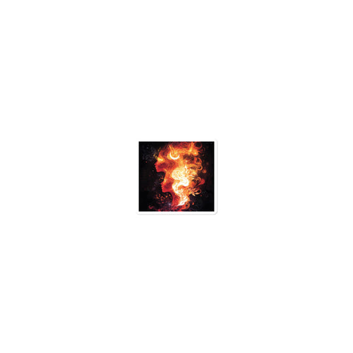 woman's head engulfed in flaming hair illustration Sticker front view — Wandering With Pride