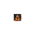 Woman in fiery flowing gown surrounded by apocalyptic flames Sticker front view — Wandering With Pride
