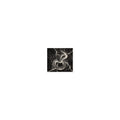 snake coiled around a skull surrounded by electrical sparks Sticker front view — Wandering With Pride