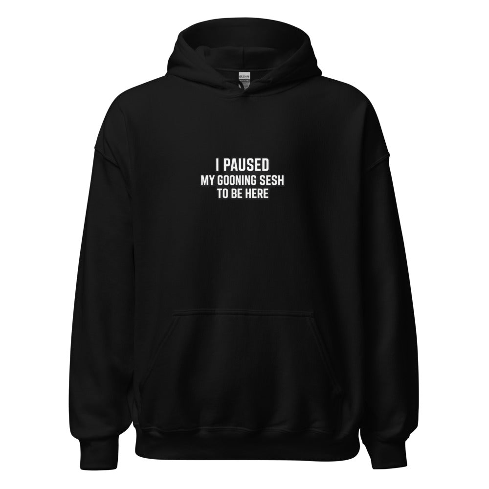 Typography design with text reading 'I PAUSED MY GOONING SESH TO BE HERE' Hoodie front view — Wandering With Pride