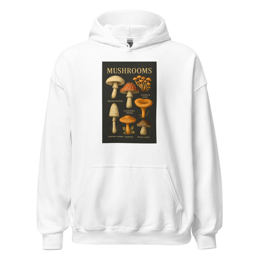 colorful stylized illustration of assorted mushrooms with red, white, and brown caps Hoodie front view — Wandering With Pride